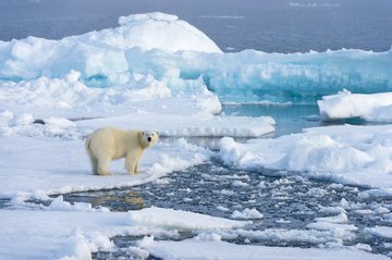 Вызовы и возможности для Устойчивого развития Арктики: климат, экономика, образование